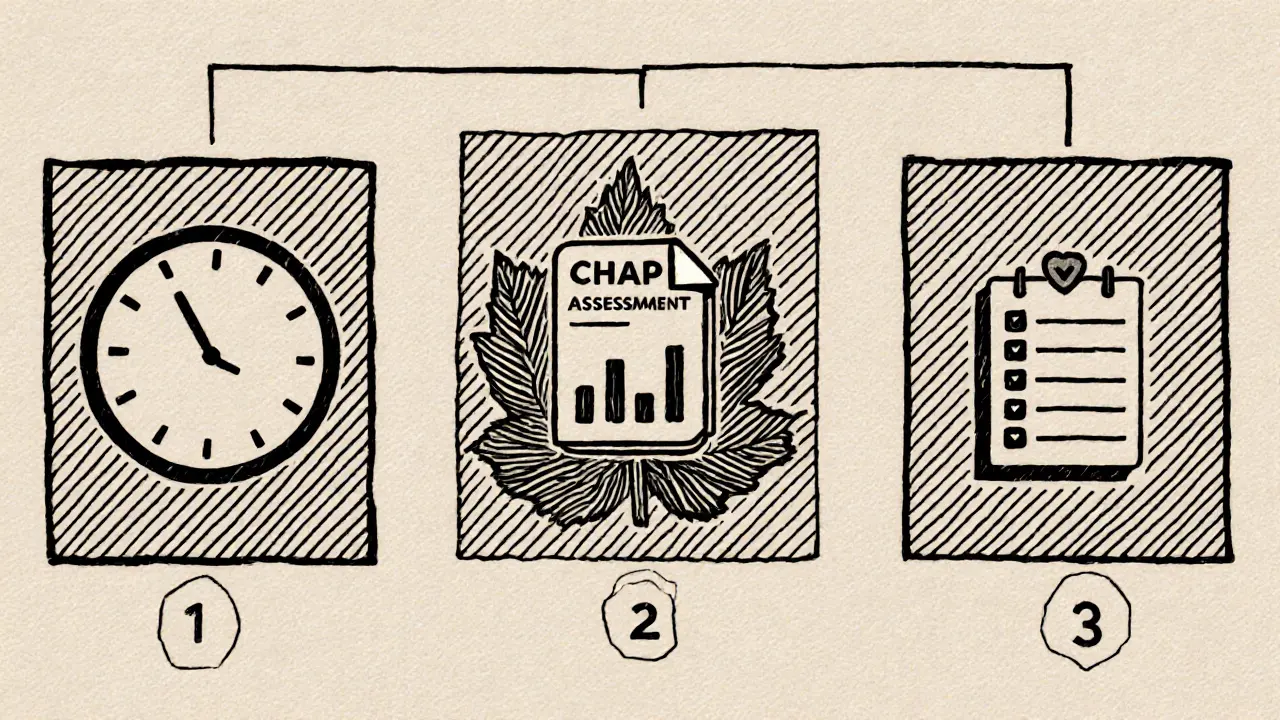 Časová osa tří kontrolních sezení s kolkou, kalendářem a CHAP listem.