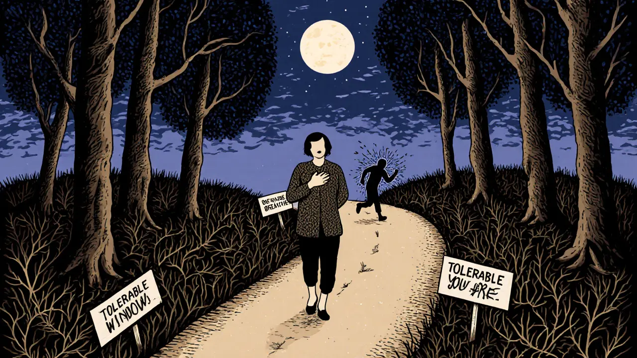 Cesta lesem, jedna osoba jde klidně, druhá běží, kolem nich jsou značky &#039;Tolerovatelné okno&#039; a &#039;Dech&#039;.