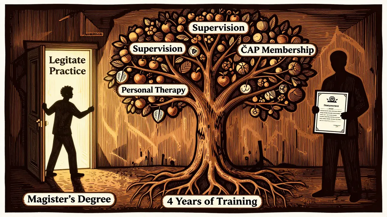 Strom s kořeny a větvemi označenými klíčovými kroky k legitimní psychoterapii, s postavou cestující k právnímu uznání.