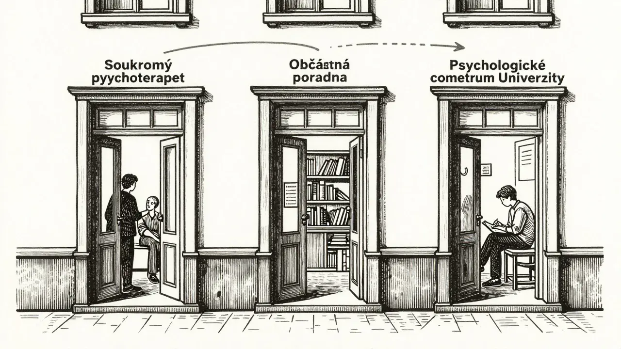 Tři různé místa nabízejí bezplatnou první konzultaci: soukromý terapeut, občanská poradna a univerzitní centrum.